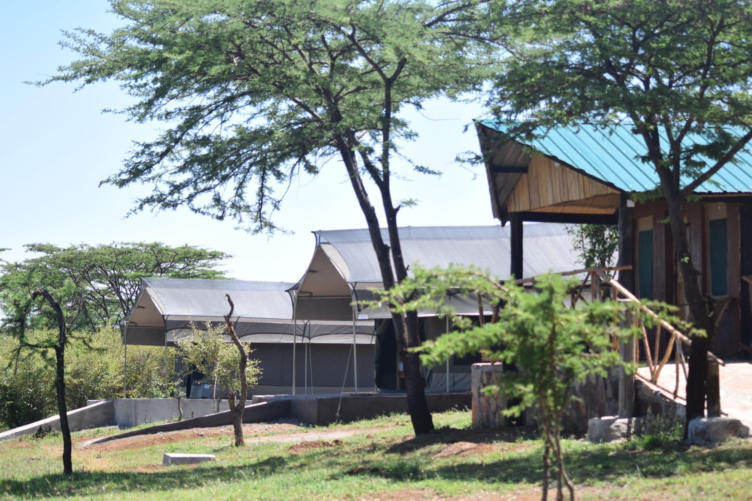 Maasai Mara Safari Camp In Kenya Bed and Breakfast Sekenani Exteriör bild